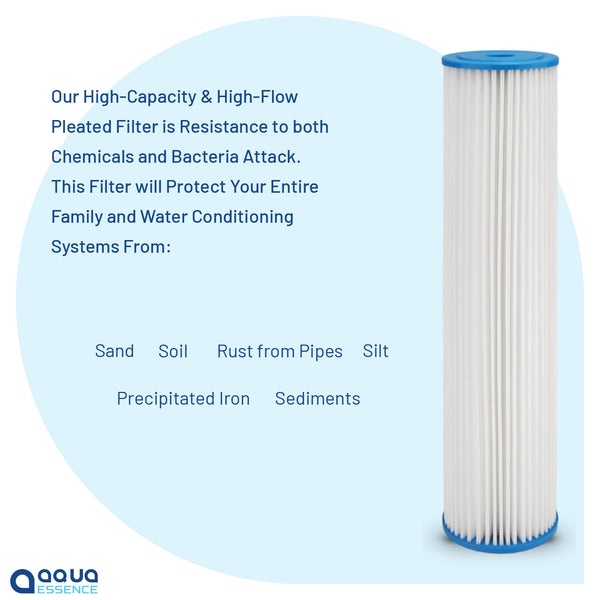Whole House 1 Stage Sediment Filter with Pleated High Flow Filter, 100K Gallons Capacity - Aqua Essence