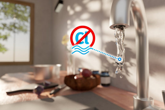Filtered tap water with chlorine removed 