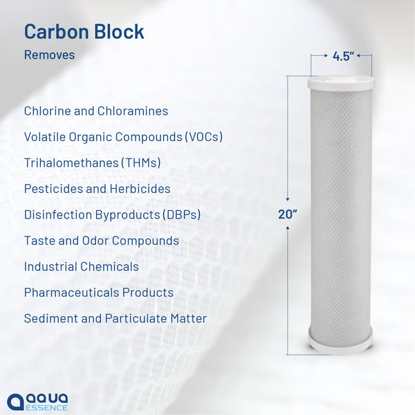 Whole House TWIN Filtration System - 30 microns Pleated Sediment + High Capacity Carbon Block, 100K Gallons Capacity (PN AES-WH4520-TWIN) - Aqua Essence
